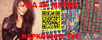 крисы Гай
