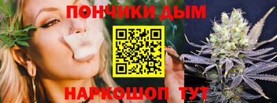 крисы Гай