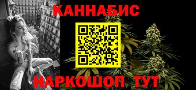 крисы Гай