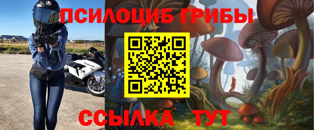 закладки  Псилоцибиновые грибы мицелий  Вход с VPN  Лобня 