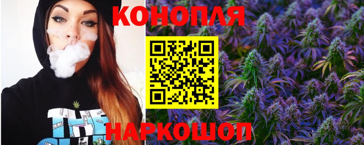 Бошки марихуана конопля Лобня